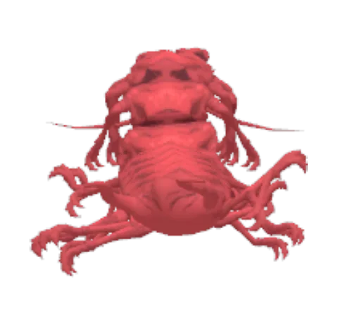 Centipede Curse