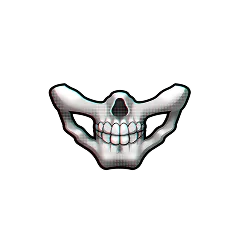 Jaw Skull