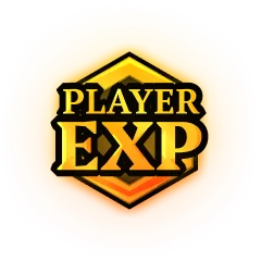 Player EXP