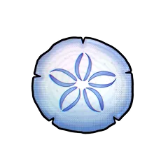 Sand Dollar